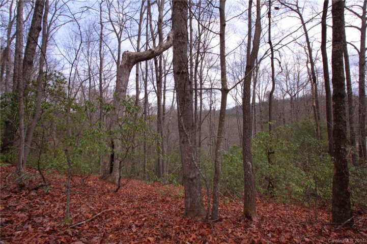 Lot 18 Crystal Creek Drive sold home in Crystal Creek, Pisgah Forest, NC