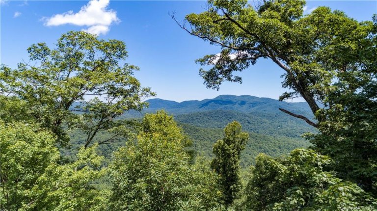 9999 Lower Flat Creek Road 01 sold home in Idylwild, Black Mountain, NC