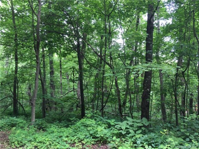 4 Davey Crockett Road sold home in Wildflower Ridge, Fairview, NC