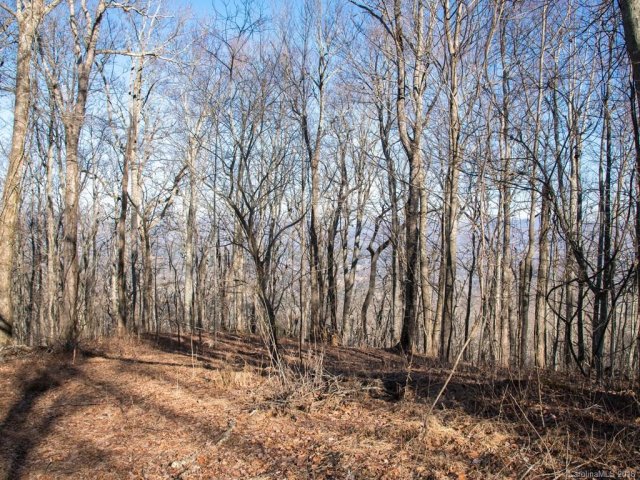99999 High Top Drive 17 sold home in Burney Mountain, Fletcher, NC