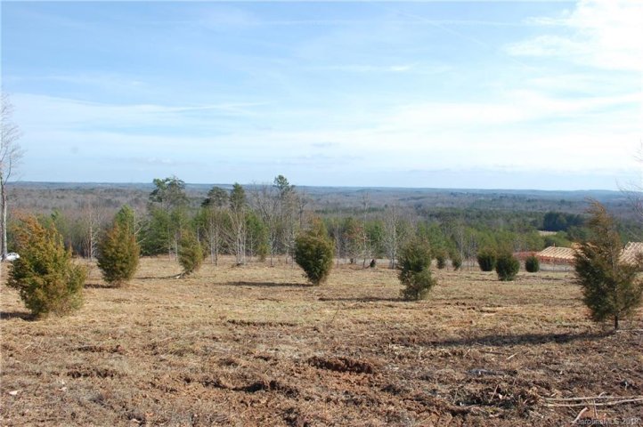 999 Preservation Trail 12 sold home in Hughes Creek Preserve, Columbus, NC