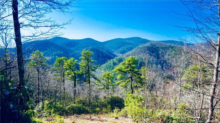 137 Davey Crockett Road sold home in Wildflower Ridge, Fairview, NC