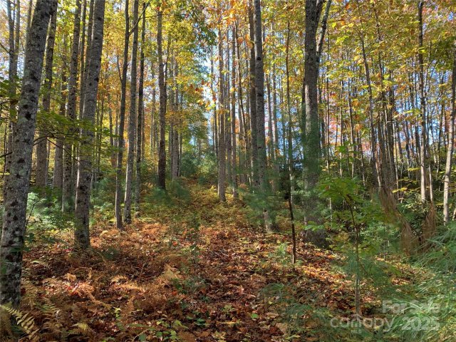 Lot 556 Timber Rock Drive active home in Timber Rock, Lenoir, NC
