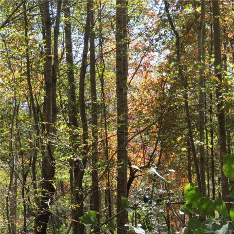 Lot 81 Winesap Boulevard sold home in Apple Valley, Lake Lure, NC