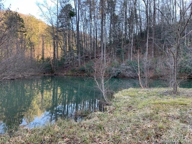 0000 Trillium Lane sold home in Three Creeks, Lake Lure, NC