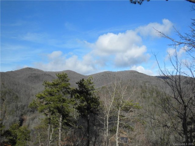 115 Davey Crockett Road 13 sold home in Wildflower Ridge, Fairview, NC