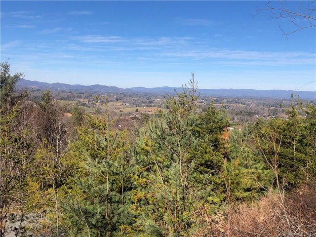 95 Balsamwood Drive 31 sold home in Moores Valley, Leicester, NC