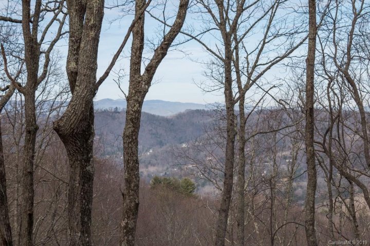 55 Mt Meadows Boulevard 27 sold home in Wildcat Cliffs, Asheville, NC