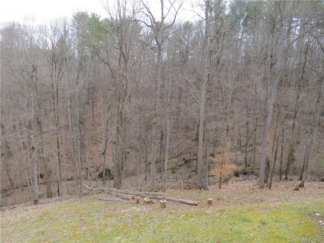 Lot 28 Grace Way sold home in Carolina Keep, Green Mountain, NC