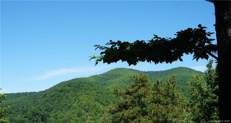 124 Davey Crockett Road 8 sold home in Wildflower Ridge, Fairview, NC