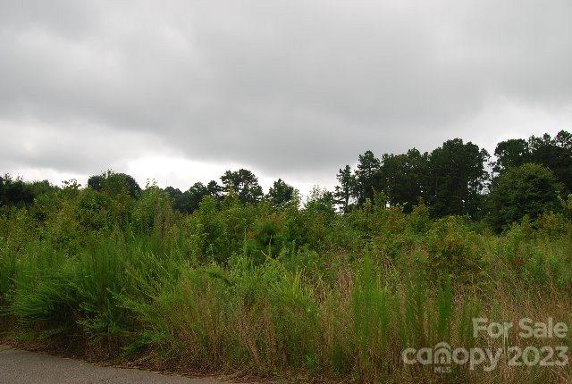 1115 Reba Lane sold home in CANEBREAK RIDGE, Kannapolis, NC