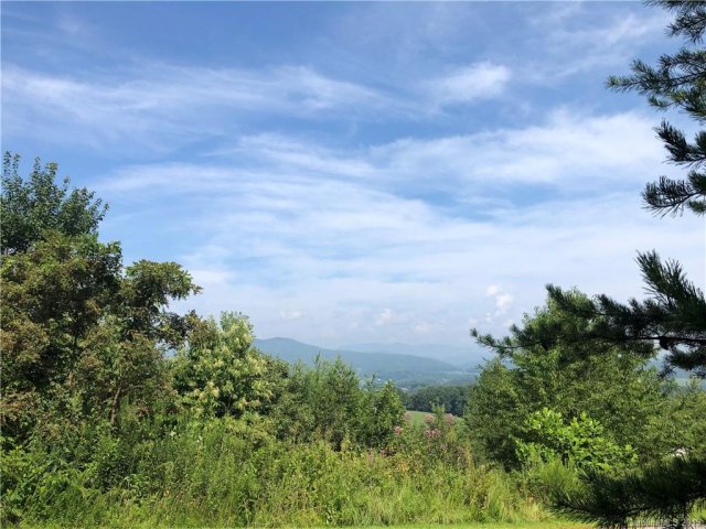 101 Balsamwood Road 32 sold home in Moores Valley, Leicester, NC