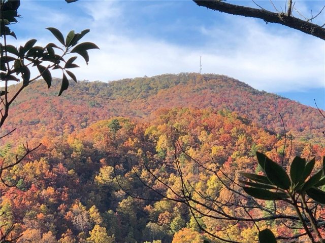 115 Davey Crockett Road sold home in Wildflower Ridge, Fairview, NC