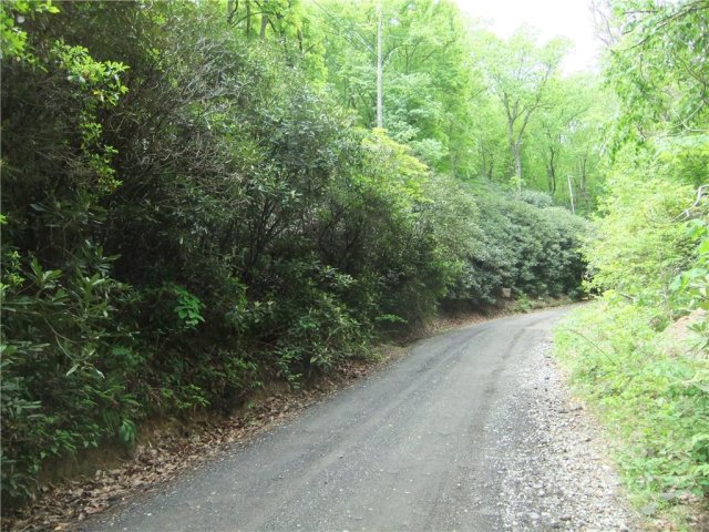Lot 5 Old Mill Road sold home in Nubbins Nob, Hendersonville, NC