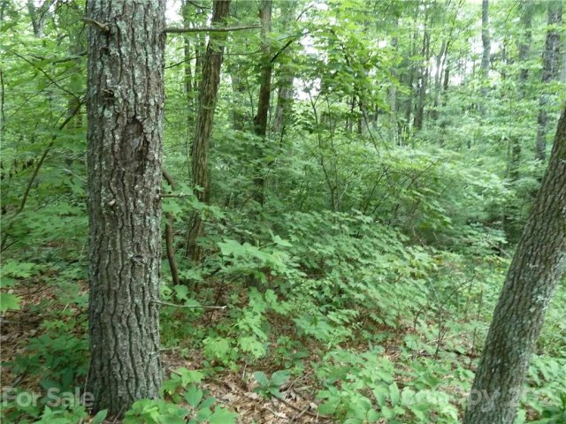 3 N Pointe Drive sold home in Ann Mountain Estates, Zirconia, NC