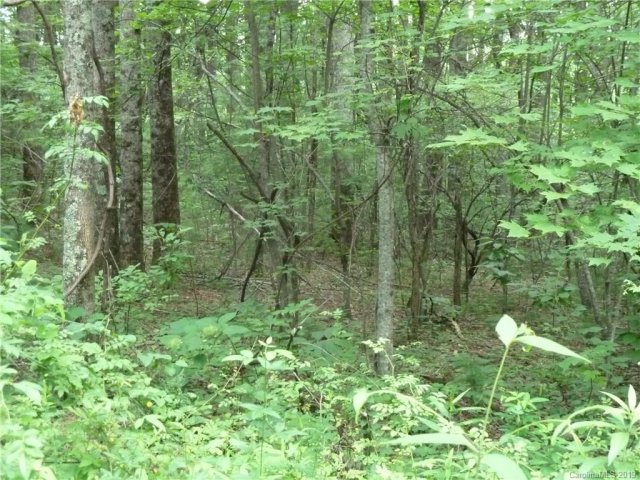 8 9 10 N Pointe Drive 8 & 9 & 10 sold home in Ann Mountain Estates, Zirconia, NC