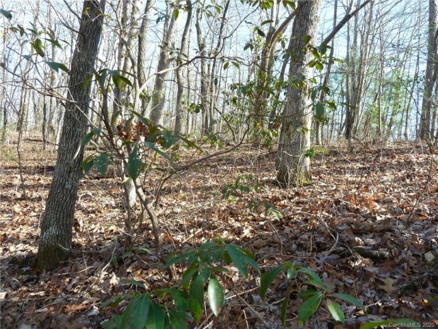 49 Dakota Springs Loop sold home in Ann Mountain Estates, Zirconia, NC