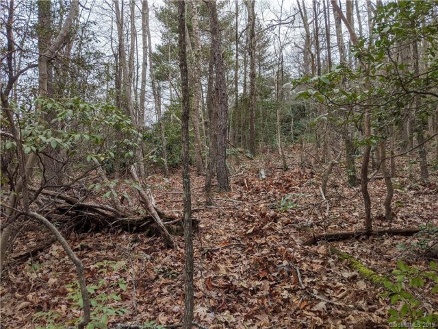 99999 Prospectors Trail sold home in Treehaven, Black Mountain, NC
