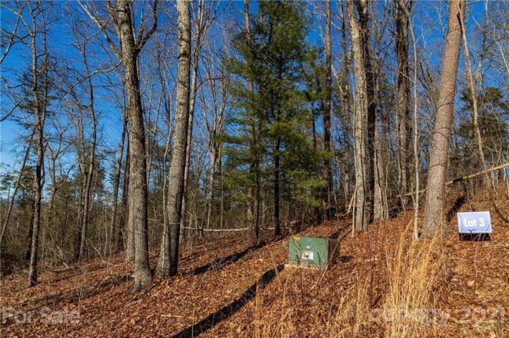 110 Saddle Ridge Drive 3 sold home in Saddle Ridge Estates, Alexander, NC