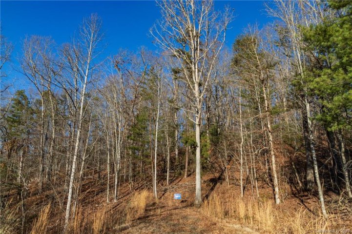132 Saddle Ridge Drive 8 sold home in Saddle Ridge Estates, Alexander, NC