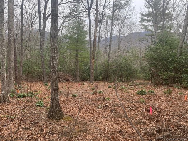 99999 Lynnette Drive 2 sold home in Rainbow Ridge, Fairview, NC