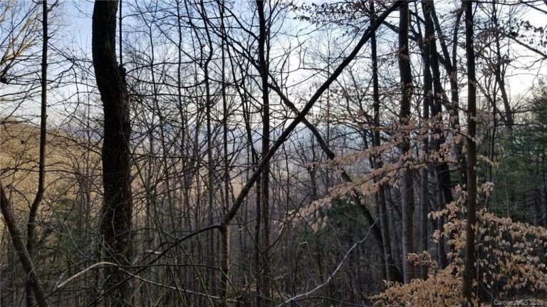 106 Bamboo Trail 11 sold home in Ashewood, Candler, NC