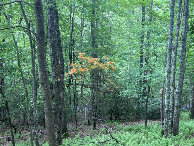 Lot 1 Sassafras Road sold home in Idlewild, Cedar Mountain, NC