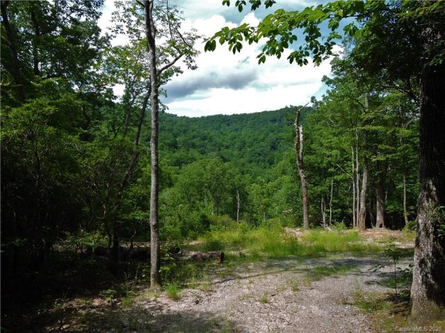 1443 Old Mill Road sold home in Nubbins Nob, Hendersonville, NC