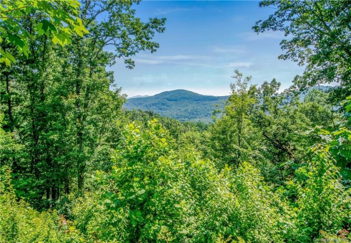 63 Boulder Creek Way 22 sold home in Falcon Ridge At Haw Creek, Asheville, NC