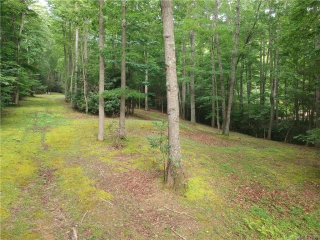 Tba Celo Cove Drive 48,49 sold home in The Cove at Celo Mountain, Burnsville, NC