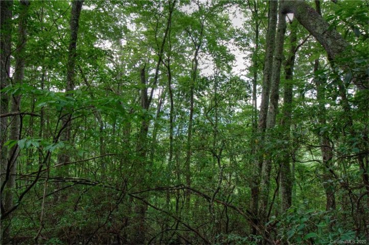 00 Connies Cove sold home in Cherry Hill Est, Waynesville, NC