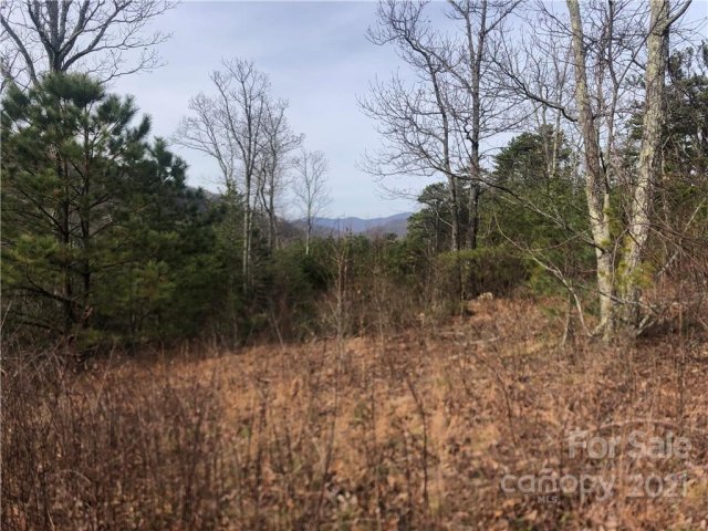 Lot 57 N Lure View Lane sold home in Grand Oaks, Hendersonville, NC