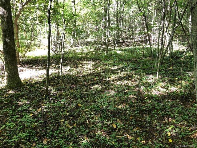 1 60 Ac Of Lot 79 Haven Drive LOT B sold home in Lake Sheila, Saluda, NC