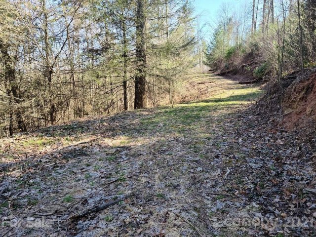 000 Harleys Cove Road Lot 6 sold home in River Woods, Waynesville, NC