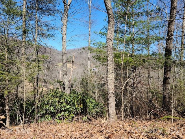 000 Harleys Cove Road Lot 7 sold home in River Woods, Waynesville, NC