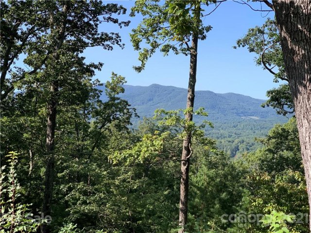 999 Holland Drive 12 sold home in The Sanctuary of Tryon, Columbus, NC