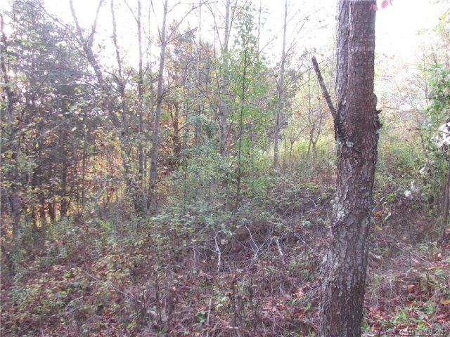 532 Sky Ridge Drive sold home in Red Oak Plantation, Leicester, NC