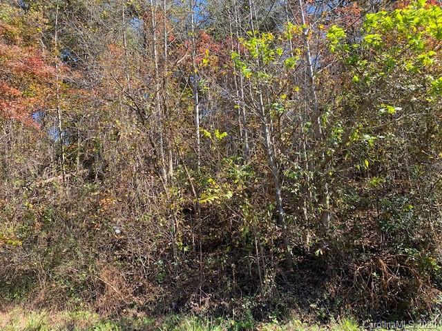 0 Chapel Hill Lane sold home in Highland Hills, Leicester, NC