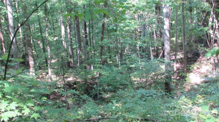 E 17 Red Wolf Run None active home in Red Wolf Run, Mars Hill, NC