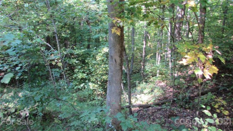 E 19 Red Wolf Run None active home in Red Wolf Run, Mars Hill, NC