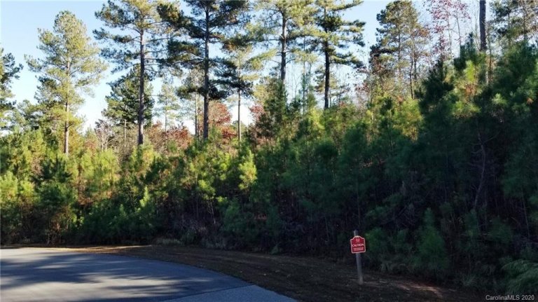 1489 Lake Vista Drive sold home in Lake Vistas, Connelly Springs, NC