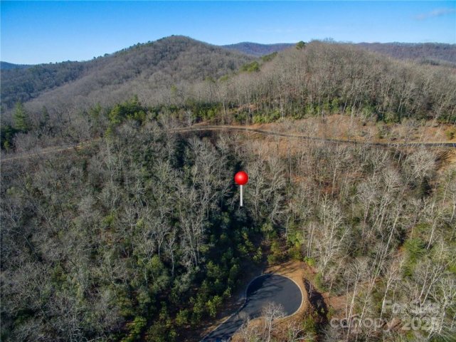 9999 Mayfly Lane 106 active home in Homestead at Mills River, Horse Shoe, NC