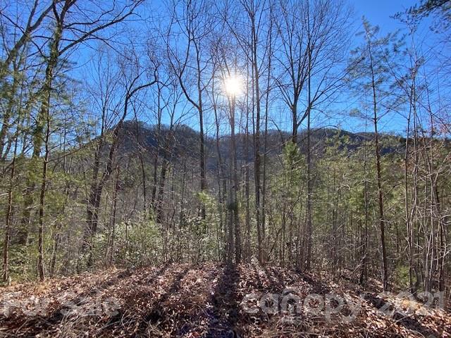 0000 Woodfen Lane 6 sold home in Three Creeks, Lake Lure, NC
