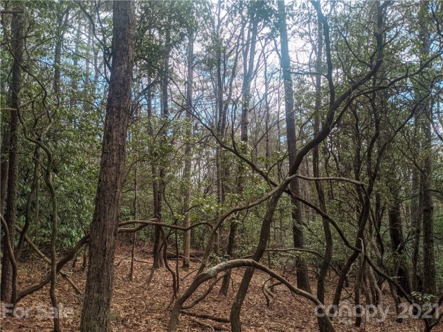 Tbd Wipprecht Drive 7 & 8 sold home in Humpback Mountain, Spruce Pine, NC