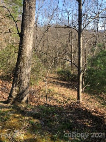 Lot 5 6 Kylie Lane sold home in Rivers Edge, Waynesville, NC