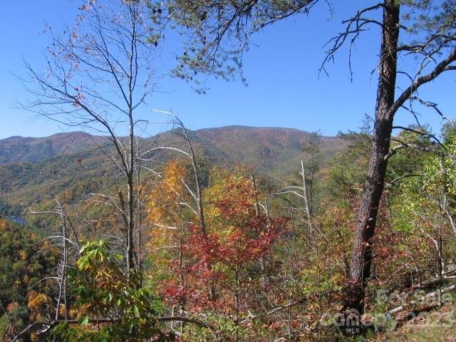 14 Blue Vista Road sold home in Blue Ridge Vistas, Canton, NC