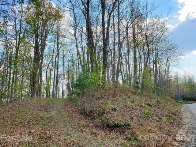 Corner Long Ridge Lane Eastatoe Gap Road Lot #11 sold home in Eastatoe Gap, Rosman, NC