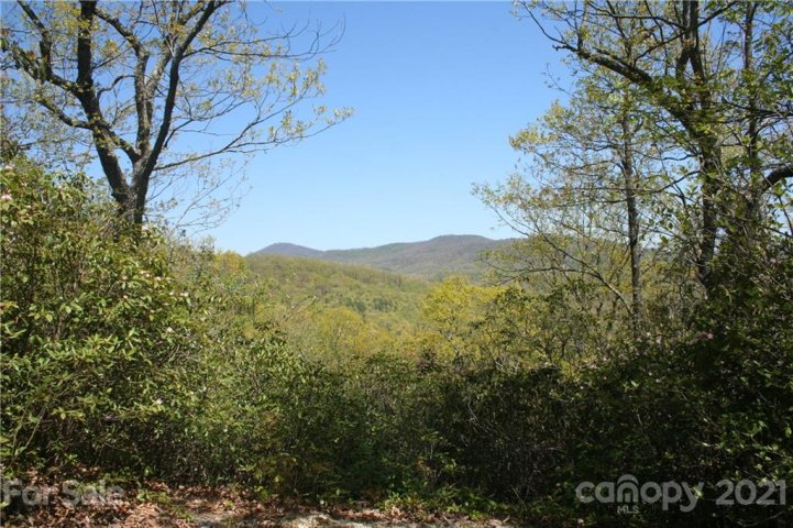 9999 Rocky Falls Drive 6 sold home in Idylwild, Black Mountain, NC
