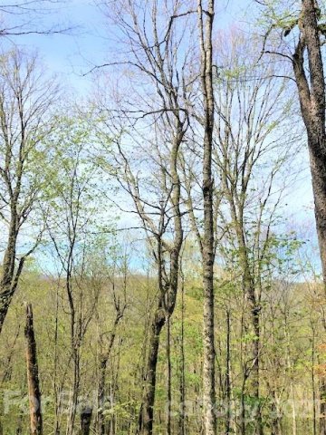 Off Oswego Way sold home in Big Laurel INC, Waynesville, NC