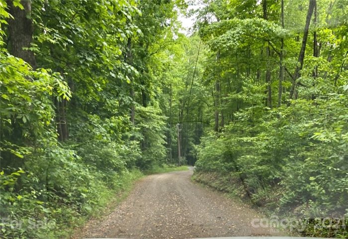 109 Apgar Road sold home in Davis Creek Estates, Candler, NC